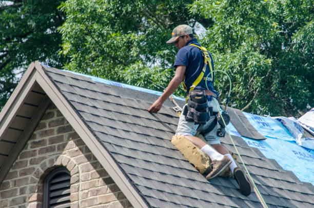 Best Affordable Roof Replacement  in USA